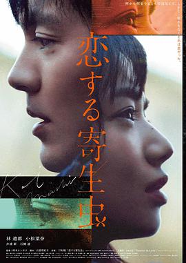 雾中回声海报
